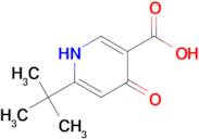 6-(TERT-BUTYL)-4-HYDROXYNICOTINIC ACID