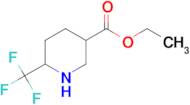 ETHYL 6-(TRIFLUOROMETHYL)PIPERIDINE-3-CARBOXYLATE