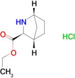 (1R,3S,4S)-ETHYL 2-AZABICYCLO[2.2.1]HEPTANE-3-CARBOXYLATE HCL