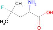 (S)-2-AMINO-4-FLUORO-4-METHYLPENTANOIC ACID