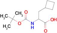 2-((tert-Butoxycarbonyl)amino)-3-cyclobutylpropanoic acid