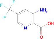 3-AMINO-5-(TRIFLUOROMETHYL)PICOLINIC ACID