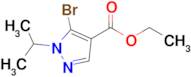 ETHYL 5-BROMO-1-ISOPROPYL-1H-PYRAZOLE-4-CARBOXYLATE