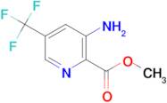 Methyl 3-amino-5-(trifluoromethyl)picolinate