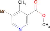 Methyl 5-bromo-4-methylnicotinate