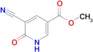 METHYL 5-CYANO-6-OXO-1,6-DIHYDROPYRIDINE-3-CARBOXYLATE