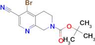 TERT-BUTYL 4-BROMO-3-CYANO-5,6-DIHYDRO-1,7-NAPHTHYRIDINE-7(8H)-CARBOXYLATE