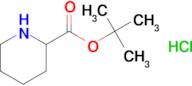 TERT-BUTYL PIPERIDINE-2-CARBOXYLATE HCL