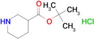 TERT-BUTYL PIPERIDINE-3-CARBOXYLATE HCL