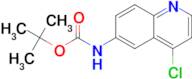 TERT-BUTYL 4-CHLOROQUINOLIN-6-YLCARBAMATE