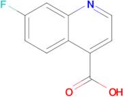 7-FLUOROQUINOLINE-4-CARBOXYLIC ACID