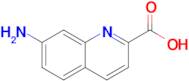 7-AMINOQUINOLINE-2-CARBOXYLIC ACID