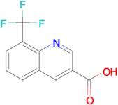 8-(TRIFLUOROMETHYL)QUINOLINE-3-CARBOXYLIC ACID