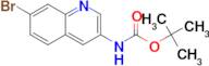 tert-Butyl 7-bromoquinolin-3-ylcarbamate