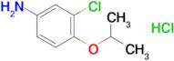 3-Chloro-4-(isopropoxy)aniline hydrochloride