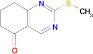 2-(METHYLTHIO)-7,8-DIHYDROQUINAZOLIN-5(6H)-ONE