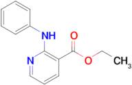 3-PYRIDINECARBOXYLIC ACID, 2-(PHENYLAMINO)-, ETHYL ESTER