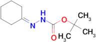 HYDRAZINECARBOXYLIC ACID, 2-CYCLOHEXYLIDENE-, 1,1-DIMETHYLETHYL ESTER