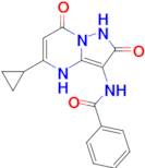 N-(5-CYCLOPROPYL-2,7-DIOXO-1,2,4,7-TETRAHYDROPYRAZOLO[1,5-A]PYRIMIDIN-3-YL)BENZAMIDE