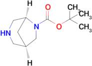 tert-Butyl (1R,5S)-3,6-Diazabicyclo[3.2.1]octane-6-carboxylate