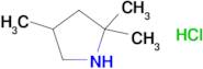 2,2,4-trimethylpyrrolidine hydrochloride