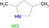 2,4-DIMETHYLPYRROLIDINE HCL