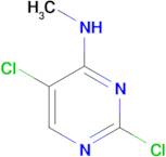 2,5-DICHLORO-N-METHYLPYRIMIDIN-4-AMINE