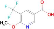 6-METHOXY-5-(TRIFLUOROMETHYL)NICOTINIC ACID