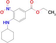 ETHYL 4-(CYCLOHEXYLAMINO)-3-NITROBENZOATE