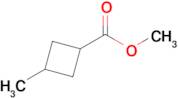 METHYL 3-METHYLCYCLOBUTANECARBOXYLATE