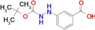 3-(2'-N-BOC-HYDRAZINO)BENZOIC ACID