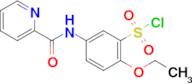 2-ETHOXY-5-(PYRIDINE-2-CABOXAMIDO) BENZENE-1-SULFONYL CHLORIDE