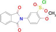 2-METHOXY-5-(1,3-DIOXOISOINDOLIN-2-YL)BENZENE-1-SULFONYL CHLORIDE
