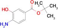 TERT-BUTYL 4-AMINO-3-HYDROXYBENZOATE