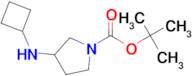 TERT-BUTYL 3-(CYCLOBUTYLAMINO)PYRROLIDINE-1-CARBOXYLATE