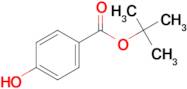 tert-Butyl 4-hydroxybenzoate