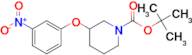 TERT-BUTYL 3-(3-NITROPHENOXY)PIPERIDINE-1-CARBOXYLATE