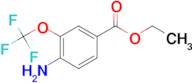 ETHYL 4-AMINO-3-TRIFLUOROMETHOXYBENZOATE