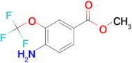 METHYL 4-AMINO-3-TRIFLUOROMETHOXYBENZOATE