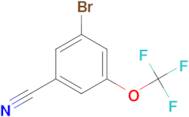 3-Bromo-5-(trifluoromethoxy)benzonitrile