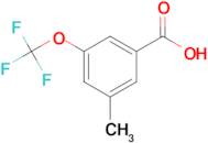 3-Methyl-5-(trifluoromethoxy)benzoic acid