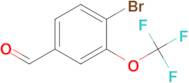 4-Bromo-3-(trifluoromethoxy)benzaldehyde