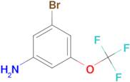 3-Bromo-5-(trifluoromethoxy)aniline