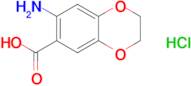 7-Amino-2,3-dihydrobenzo[b][1,4]dioxine-6-carboxylic acid hydrochloride