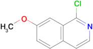 1-Chloro-7-methoxyisoquinoline