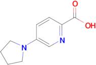 5-(Pyrrolidin-1-yl)picolinic acid