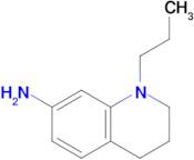 1-Propyl-1,2,3,4-tetrahydroquinolin-7-amine