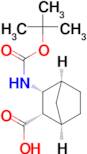 (1R,2S,3R,4S)-3-((tert-Butoxycarbonyl)amino)bicyclo[2.2.1]heptane-2-carboxylic acid