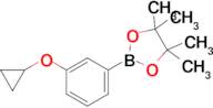 2-(3-Cyclopropoxyphenyl)-4,4,5,5-tetramethyl-1,3,2-dioxaborolane