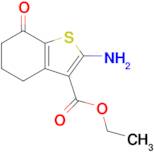 Ethyl 2-amino-7-oxo-4,5,6,7-tetrahydrobenzo[b]thiophene-3-carboxylate